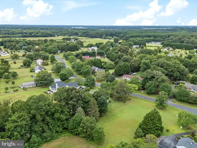 a view of a green field with lots of trees