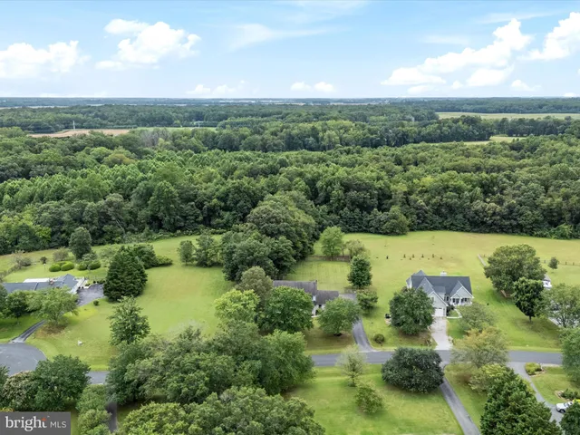 an aerial view of green landscape with trees houses and lake view