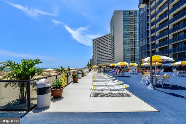 a view of a patio with plants and chairs