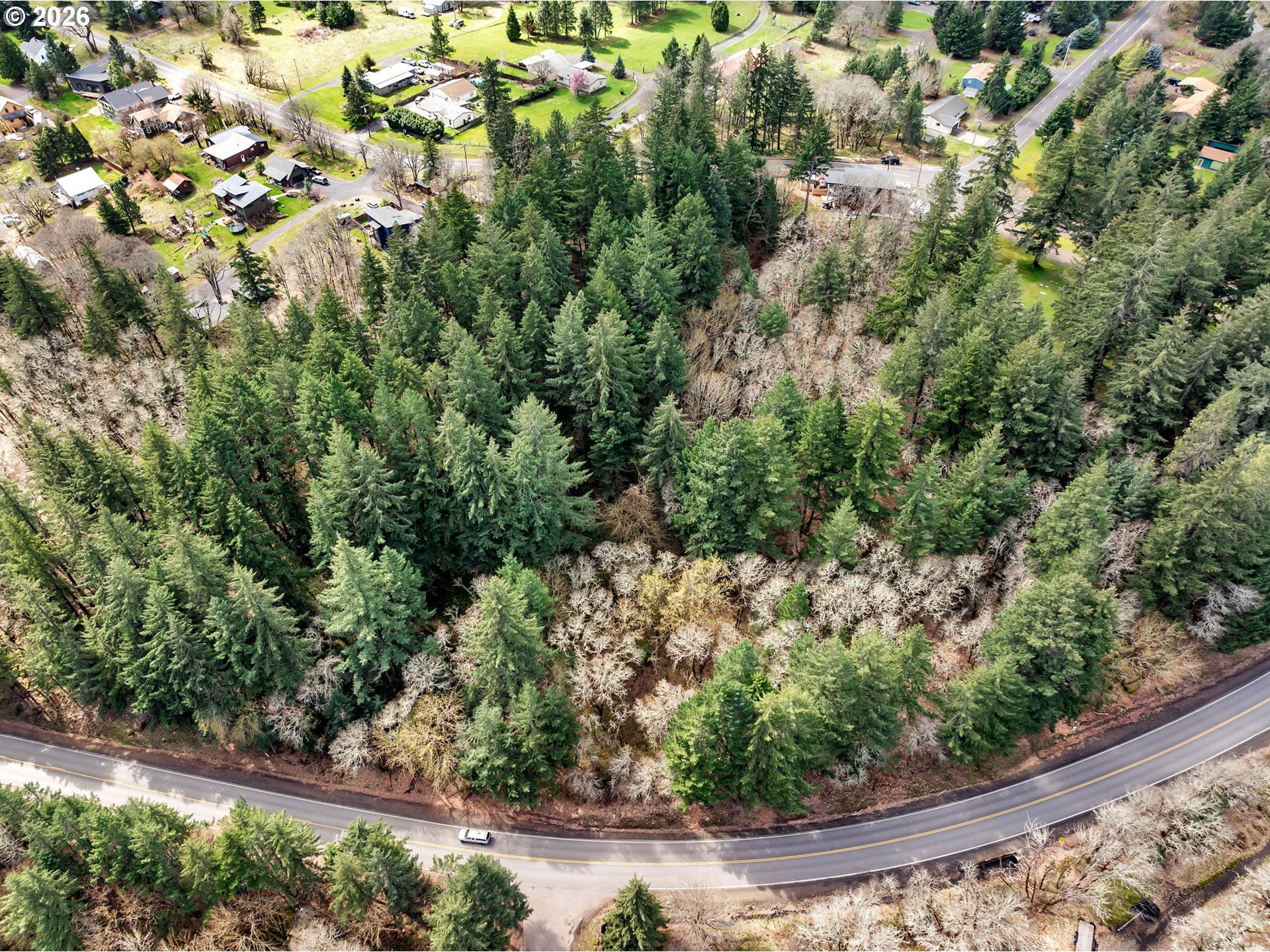 0 Cook-Underwood Road Underwood, WA 98651 - Photo 6 of 6