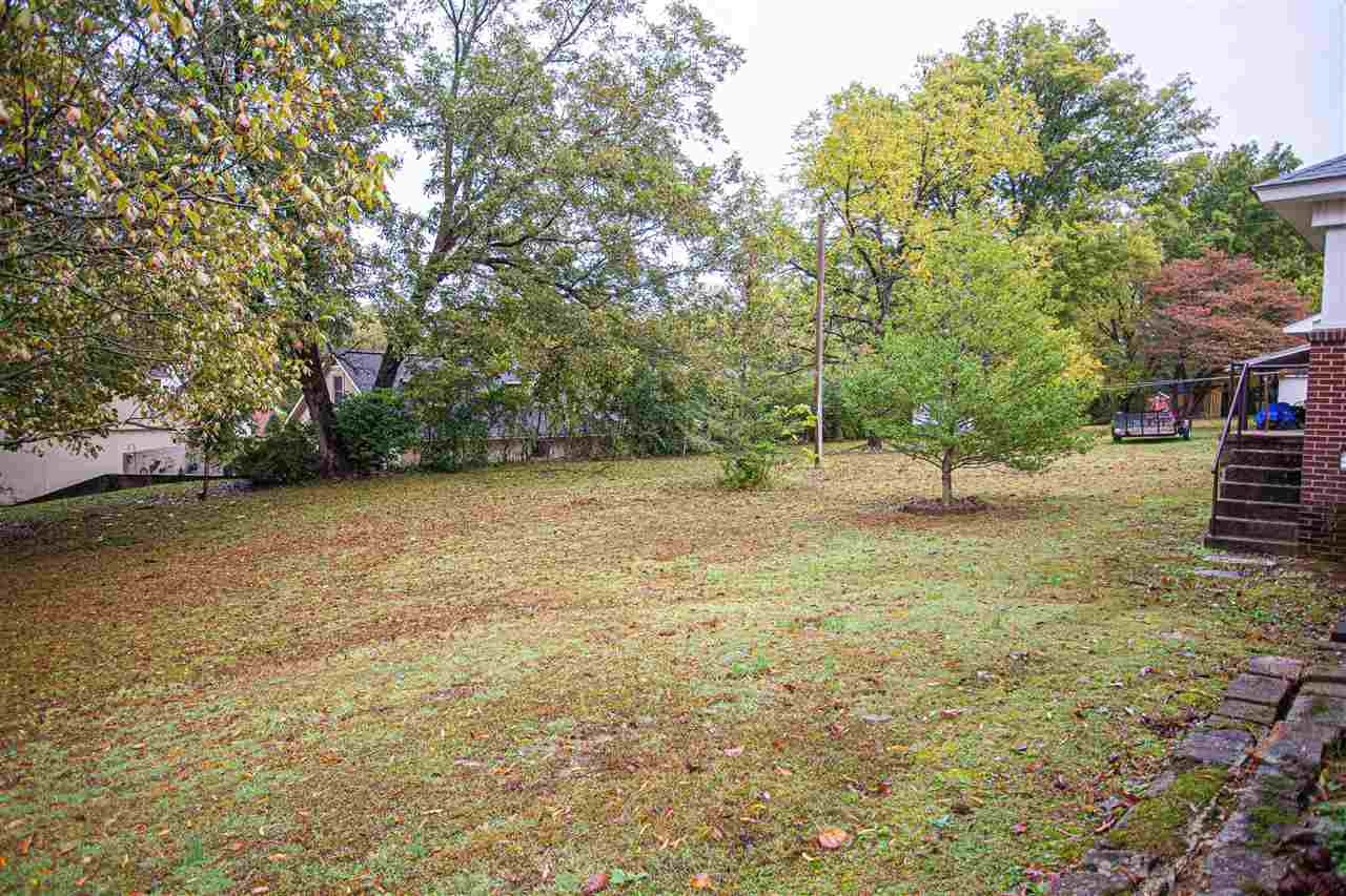 225 Anthony Street Ripley, TN 38063 - Photo 19 of 19 a view of outdoor space with deck and tree