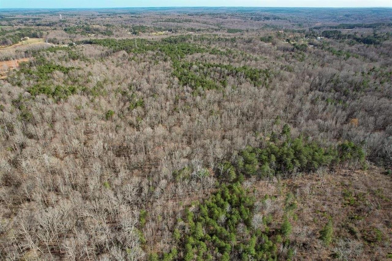 Goucher Green Gaffney, SC 29340 - Photo 16 of 33