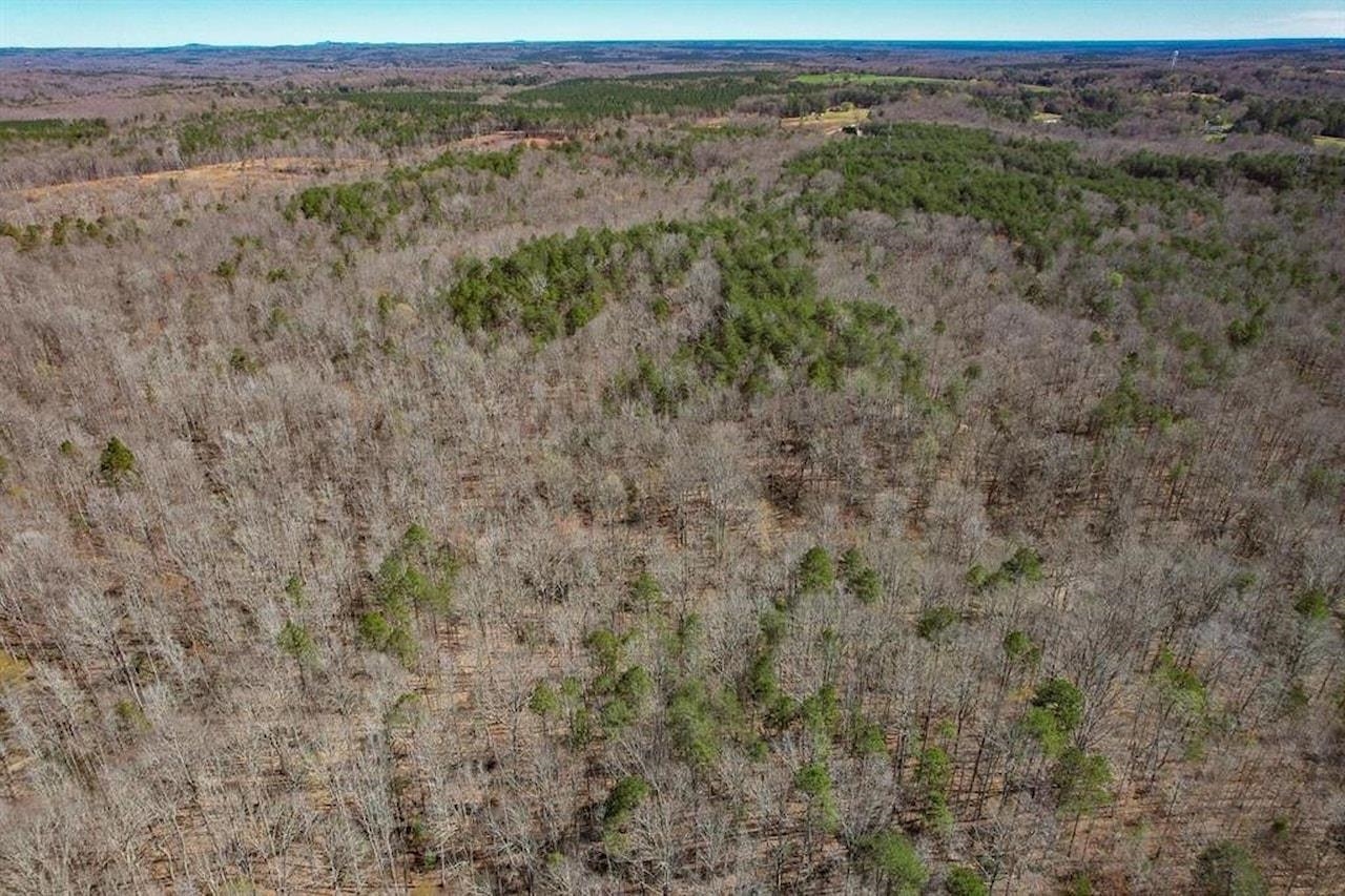 Goucher Green Gaffney, SC 29340 - Photo 33 of 33