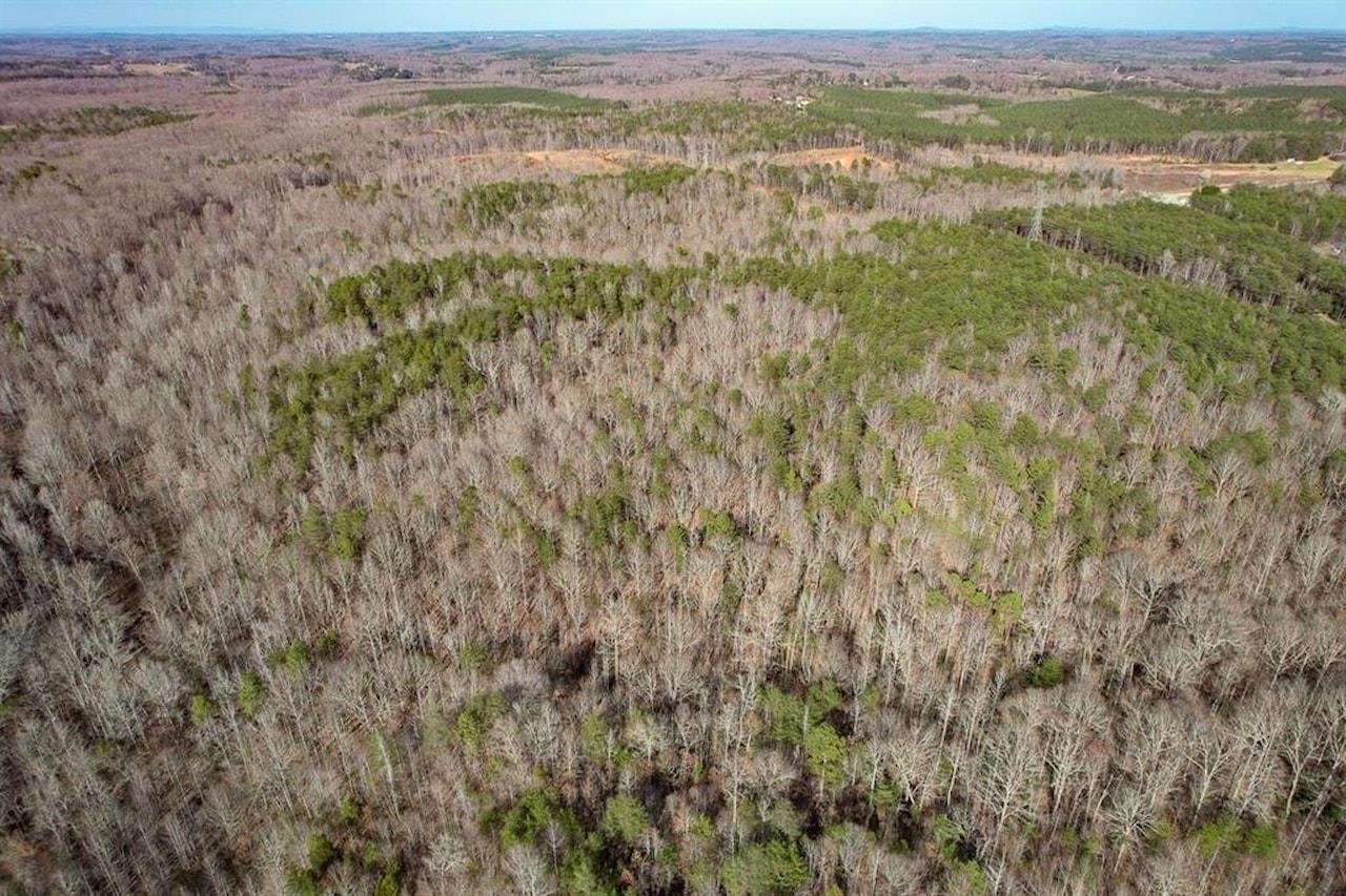 Goucher Green Gaffney, SC 29340 - Photo 7 of 33