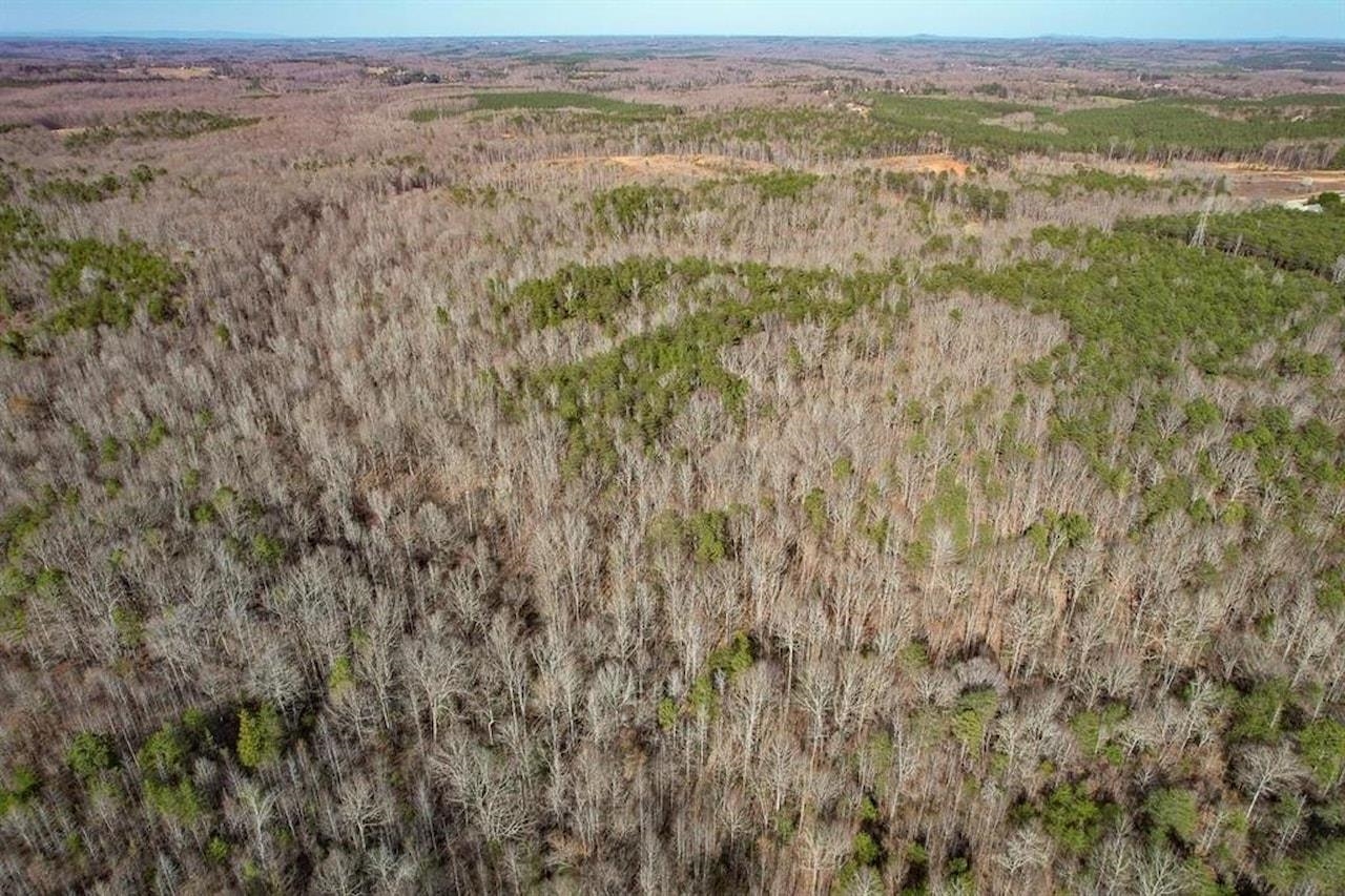Goucher Green Gaffney, SC 29340 - Photo 9 of 33