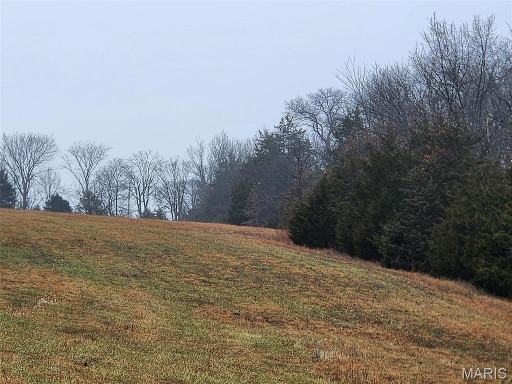 0 Mette Road Moscow Mills, MO 63362 - Photo 16 of 32