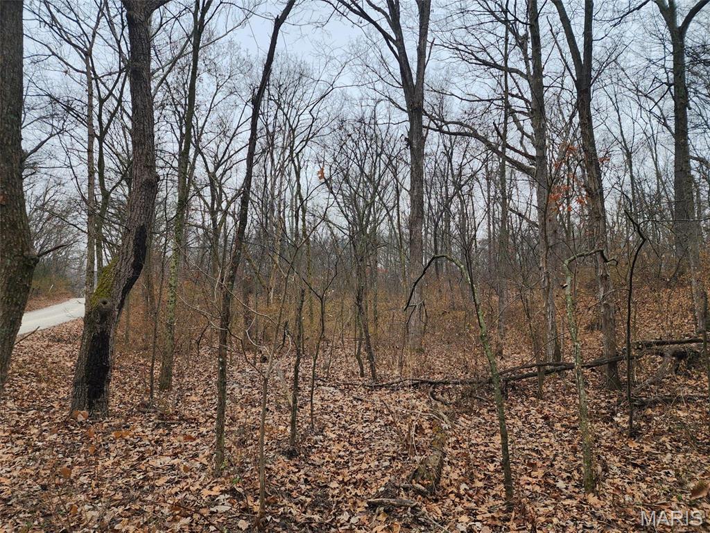 0 Mette Road Moscow Mills, MO 63362 - Photo 19 of 32