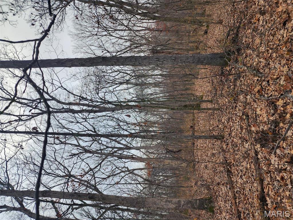 0 Mette Road Moscow Mills, MO 63362 - Photo 23 of 32