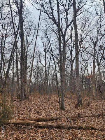 $650,000 | 0 Mette Road, Moscow Mills, MO 63362