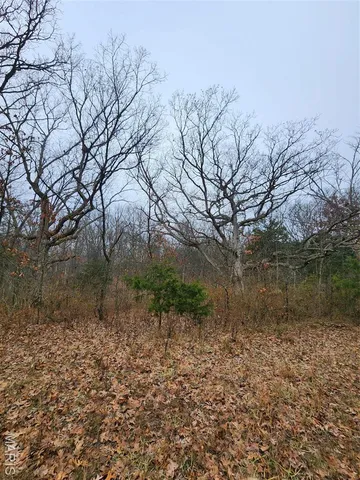 $650,000 | 0 Mette Road, Moscow Mills, MO 63362