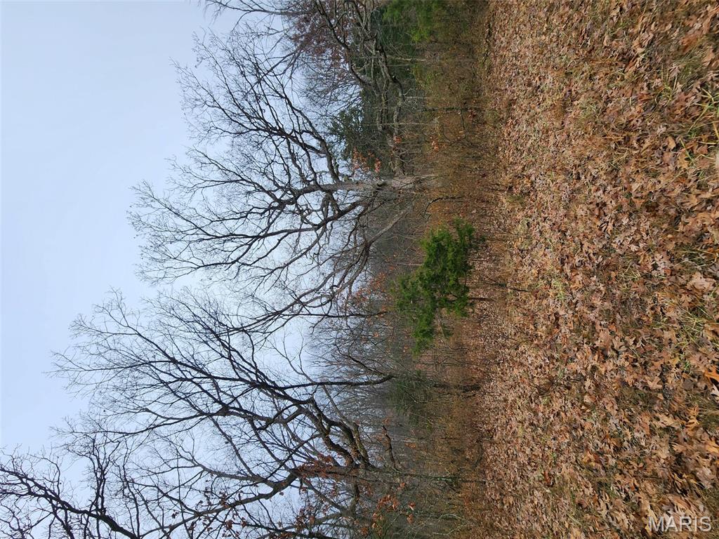 0 Mette Road Moscow Mills, MO 63362 - Photo 25 of 32