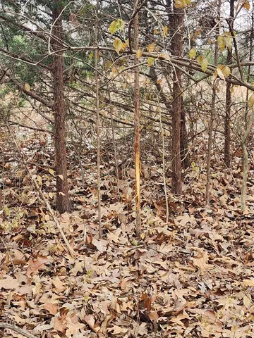 $650,000 | 0 Mette Road, Moscow Mills, MO 63362