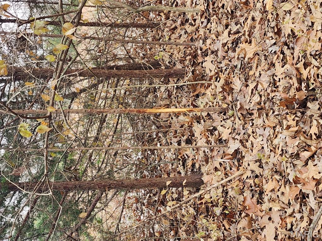 0 Mette Road Moscow Mills, MO 63362 - Photo 27 of 32