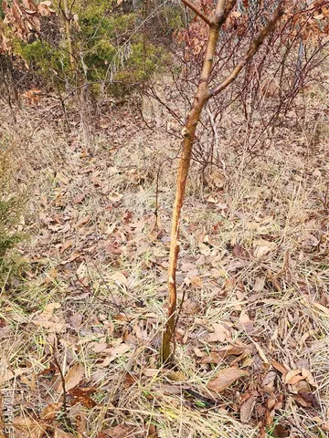 $650,000 | 0 Mette Road, Moscow Mills, MO 63362