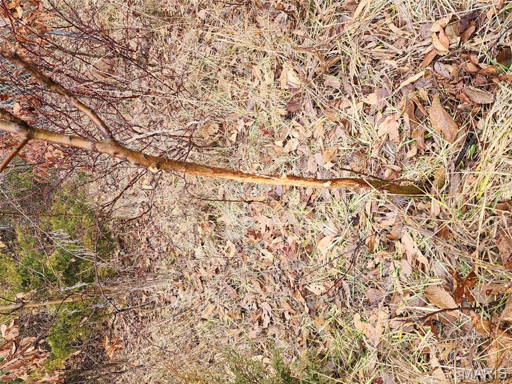 0 Mette Road Moscow Mills, MO 63362 - Photo 28 of 32