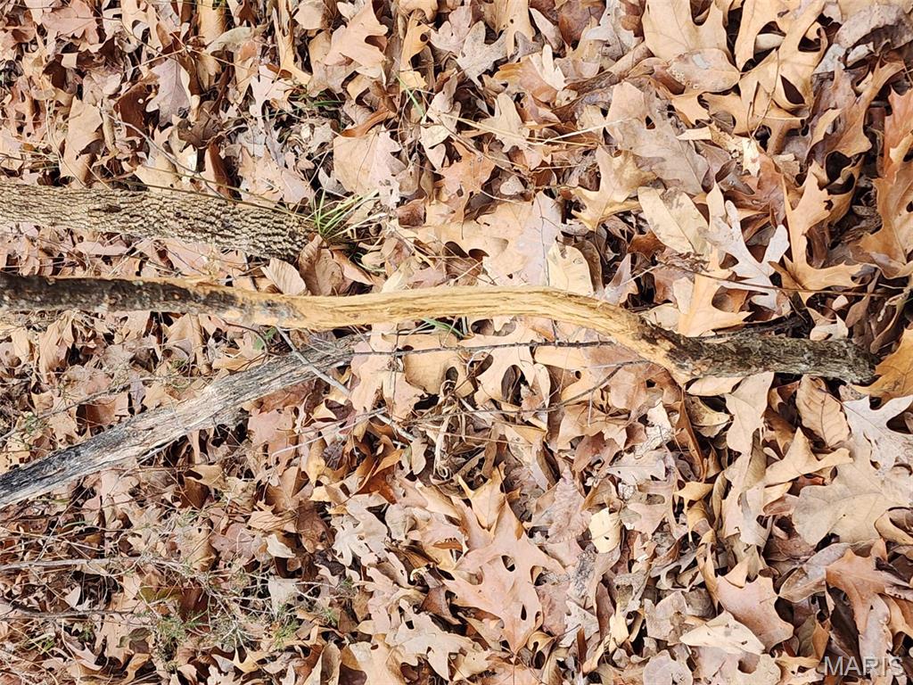 0 Mette Road Moscow Mills, MO 63362 - Photo 30 of 32