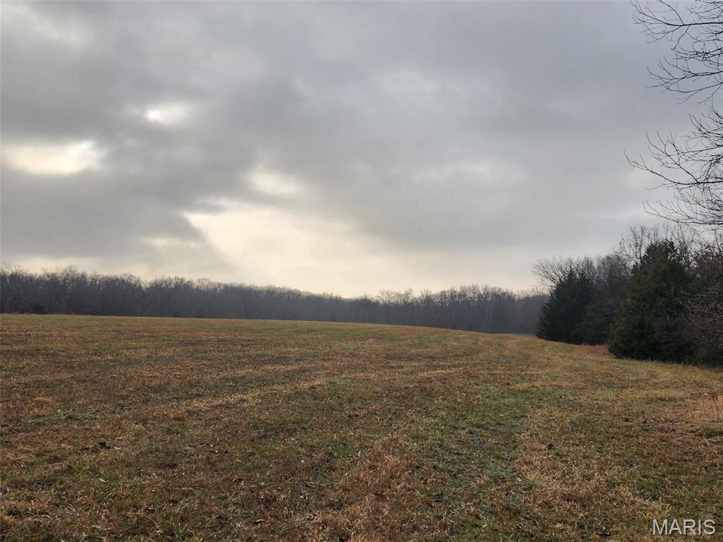 0 Mette Road Moscow Mills, MO 63362 - Photo 7 of 32