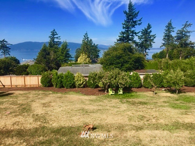 530 Briar Road Bellingham, WA 98225 - Photo 38 of 40 a tall yellow house with trees in the background