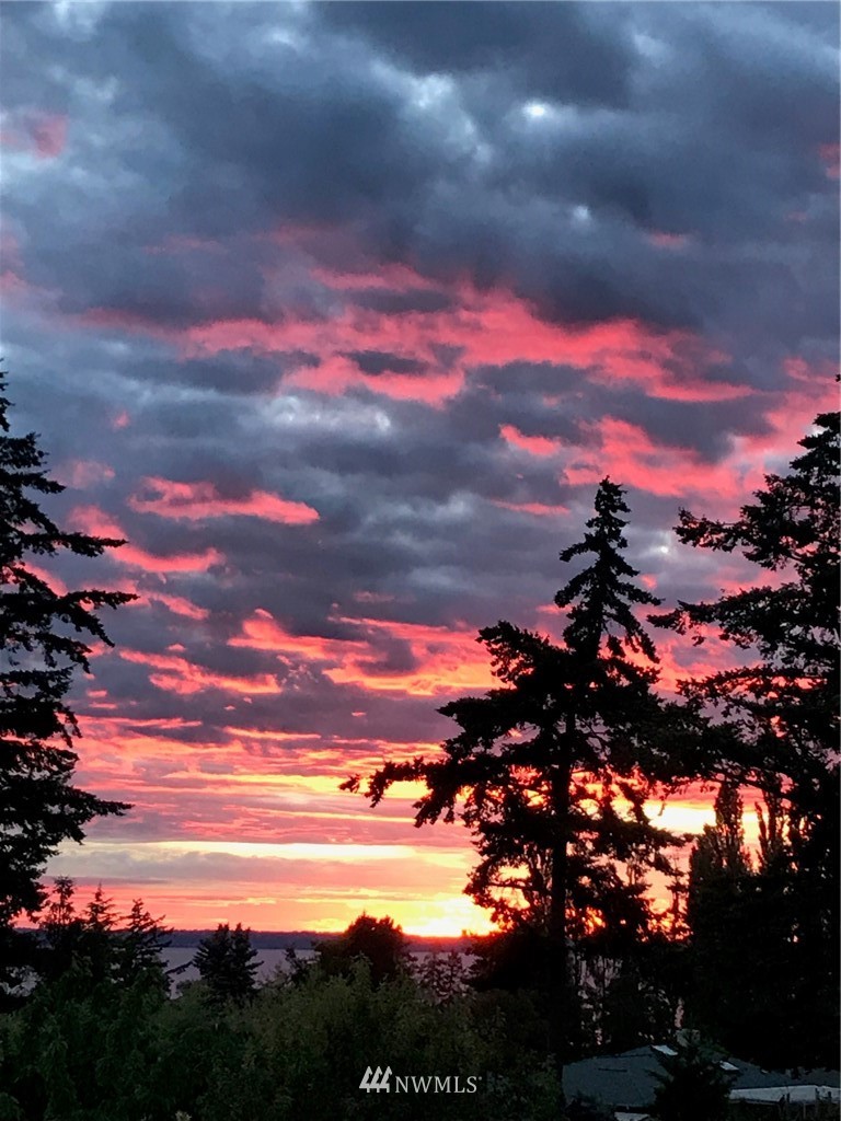 530 Briar Road Bellingham, WA 98225 - Photo 39 of 40