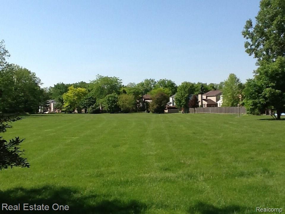 44925 Rector Drive Canton, MI 48188 - Photo 7 of 45 Private park view from Backyard