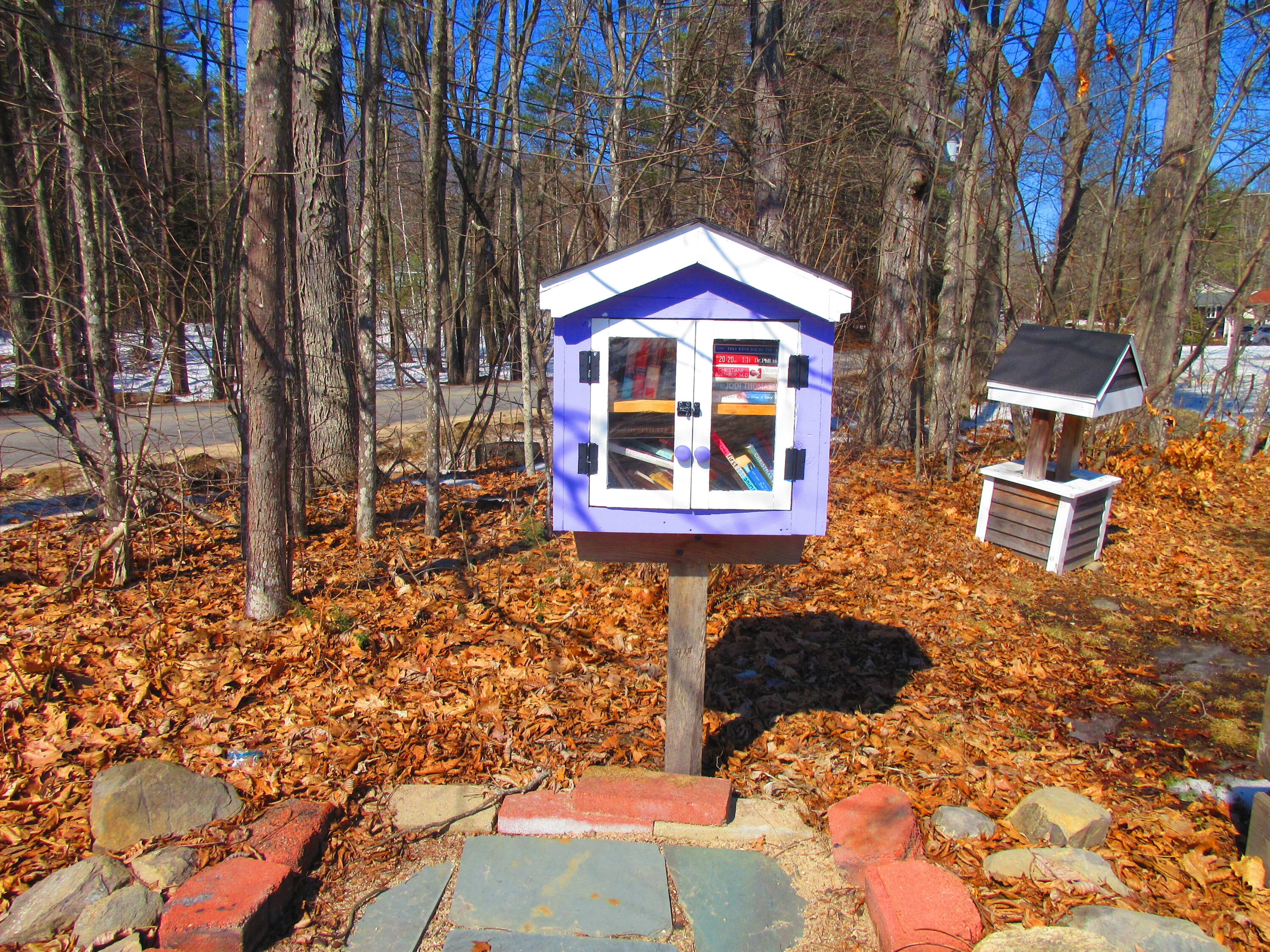 8 Emery Circle Buxton, ME 04093 - Photo 42 of 46 IMG_0741