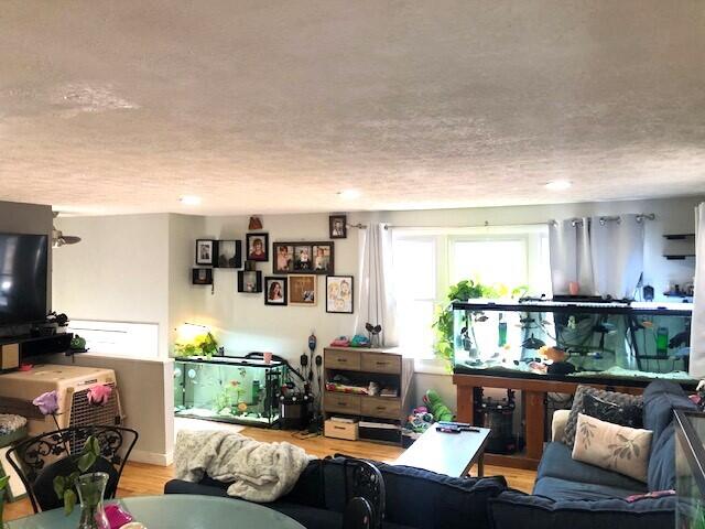 8 Emery Circle Buxton, ME 04093 - Photo 9 of 46 IMG_3636