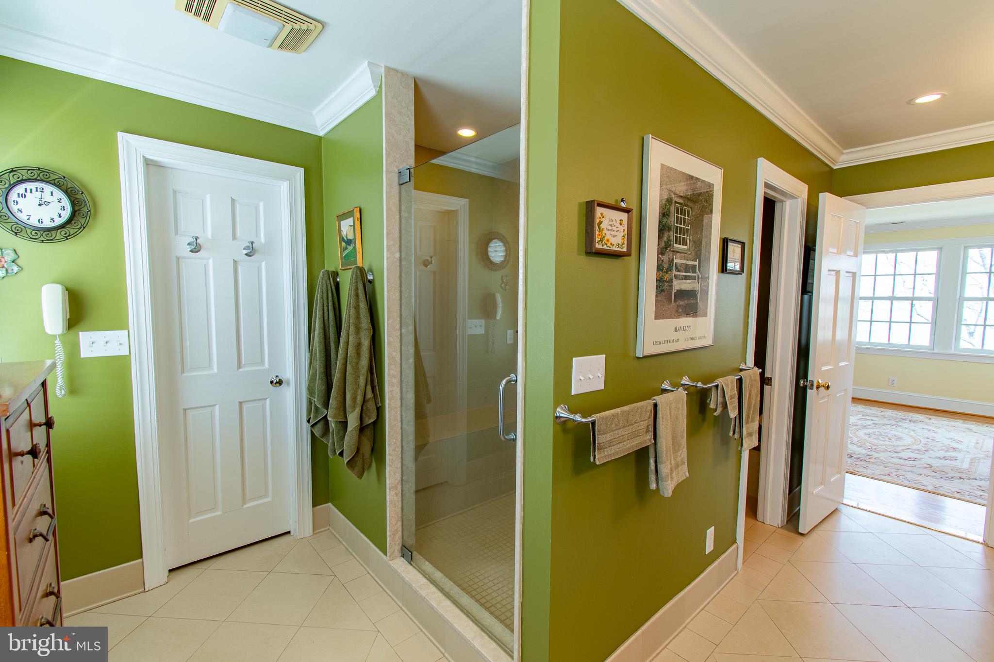5995 Elston Shore Road Neavitt, MD 21652 - Photo 26 of 42 Vibrant green bathroom oasis.