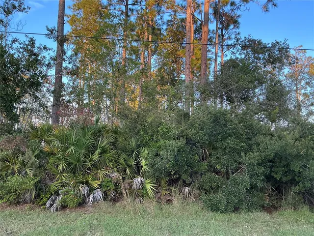 $72,000 | 171 Ryberry Drive, Palm Coast, FL 32164