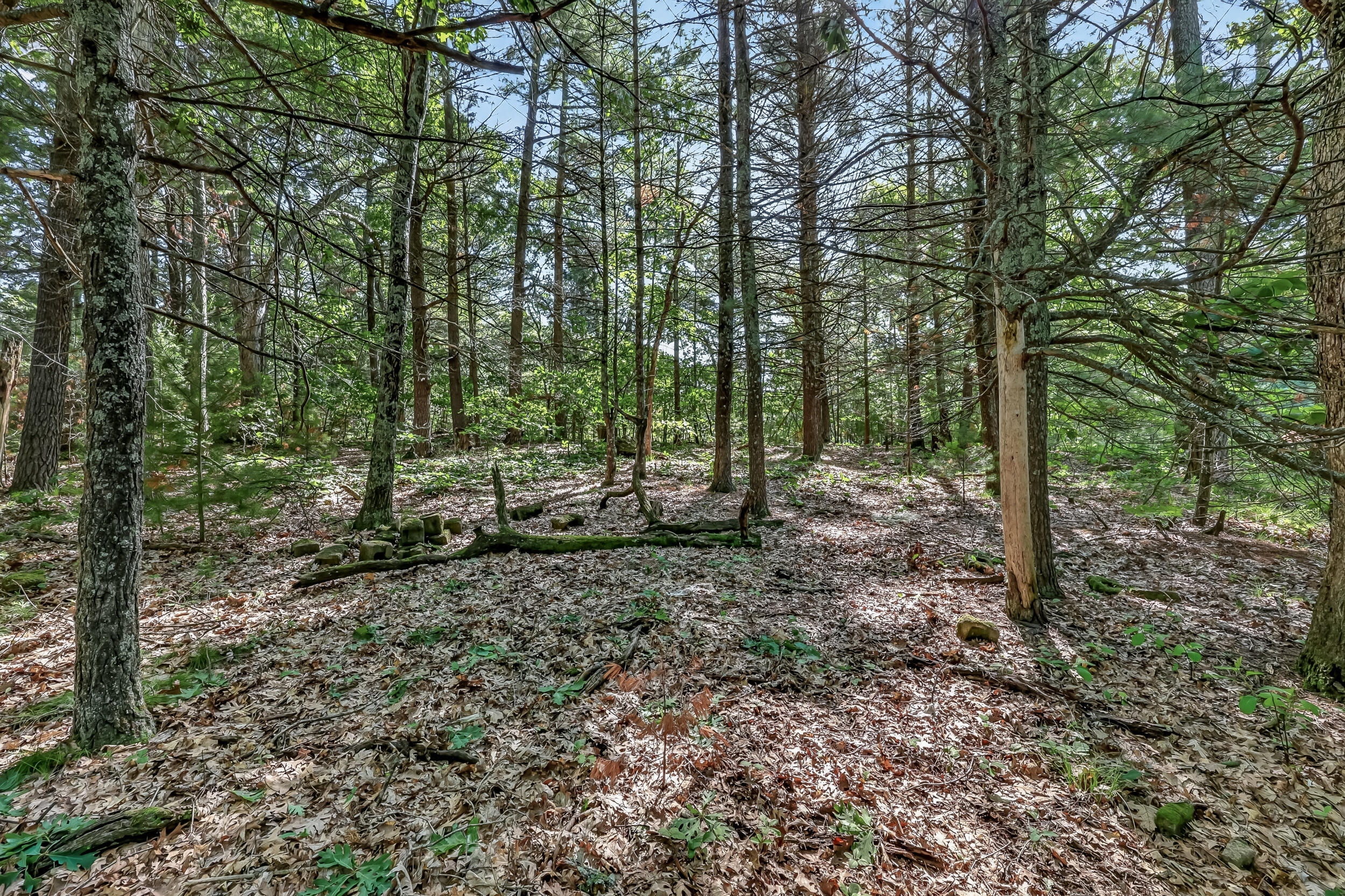 Vl West Michigan Road, Unit B Twin Lake, MI 49457 - Photo 1 of 16 527 w michigan parcel b-6