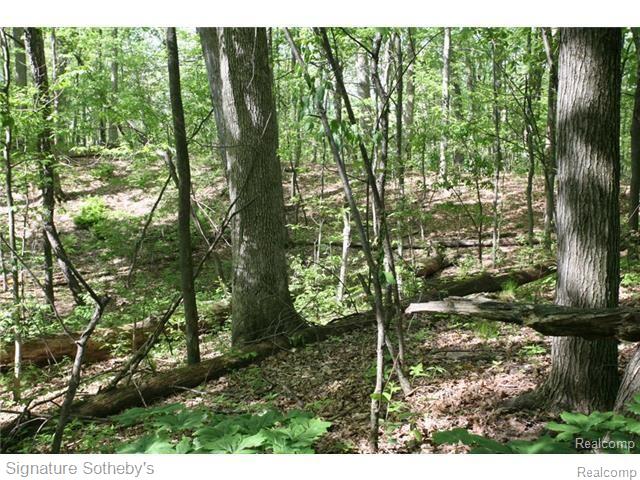 8630 Knox Road Clarkston, MI 48348 - Photo 1 of 13 2.jpg