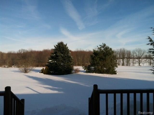 1876 Elm Road North Webberville, MI 48892 - Photo 5 of 8 Elm back.jpg