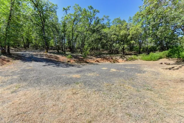 a view of backyard with green space