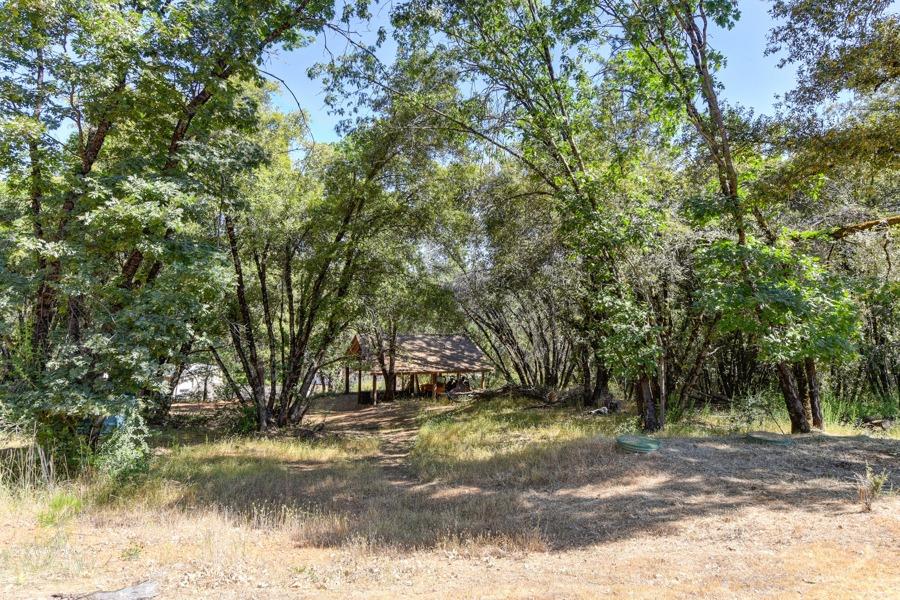 22670 Placer Hills Road Colfax, CA 95713 - Photo 15 of 33