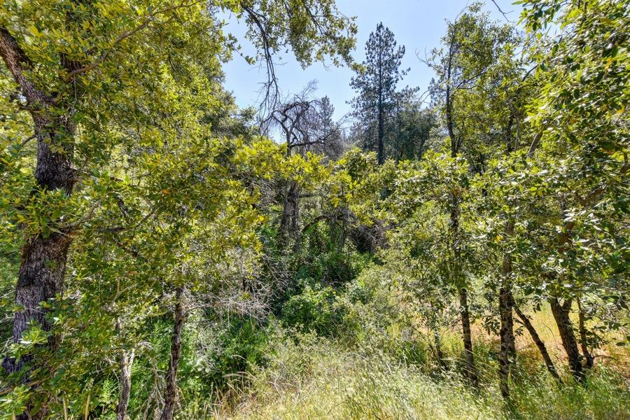 22670 Placer Hills Road Colfax, CA 95713 - Photo 23 of 33