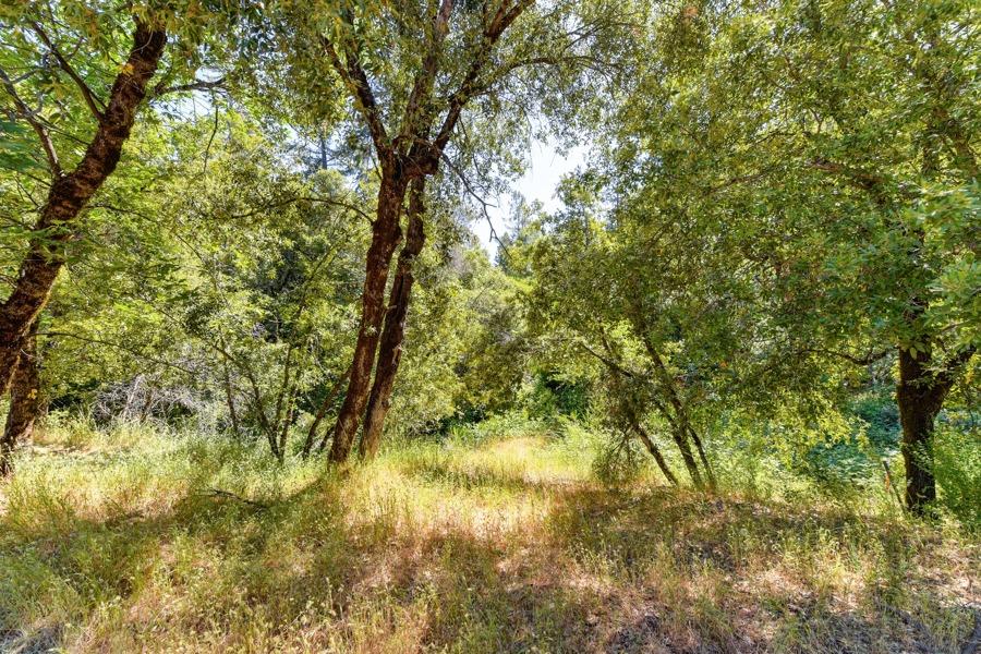 22670 Placer Hills Road Colfax, CA 95713 - Photo 24 of 33