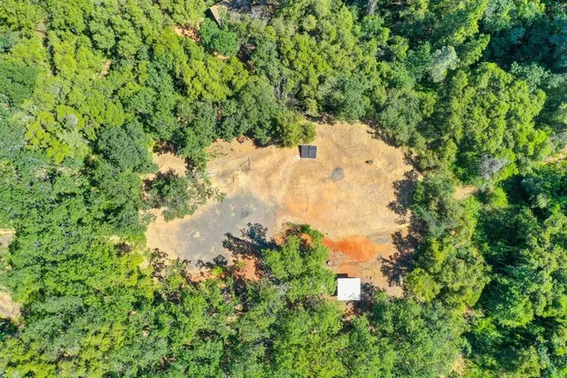 a view of a forest with a house