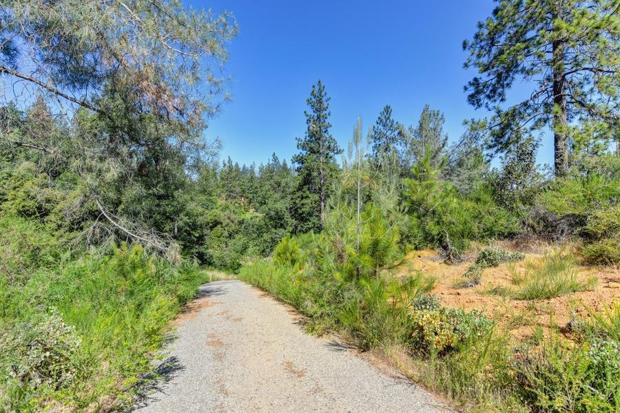 22670 Placer Hills Road Colfax, CA 95713 - Photo 4 of 33