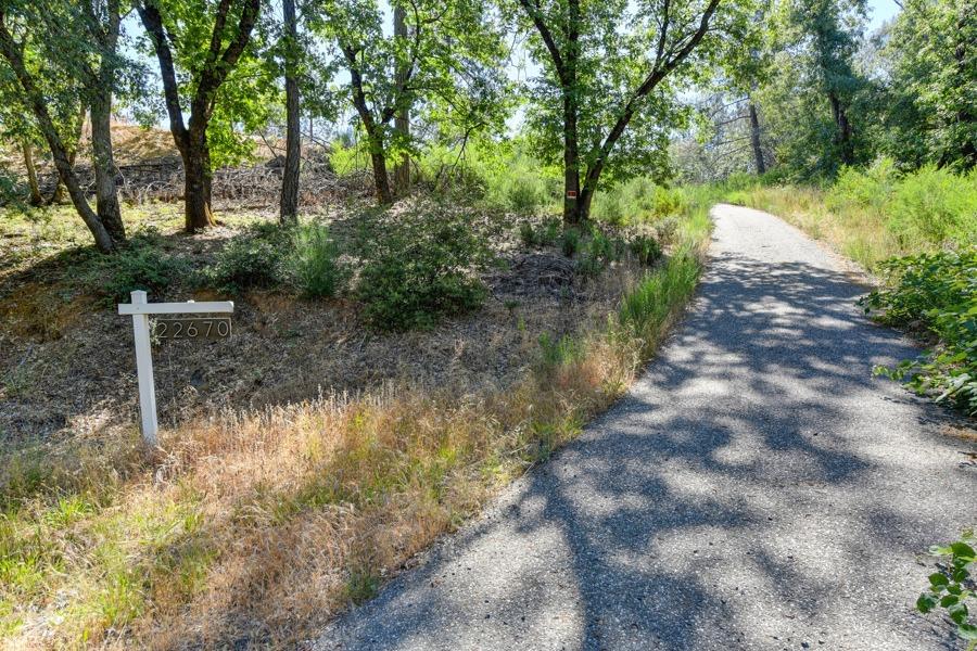 22670 Placer Hills Road Colfax, CA 95713 - Photo 5 of 33