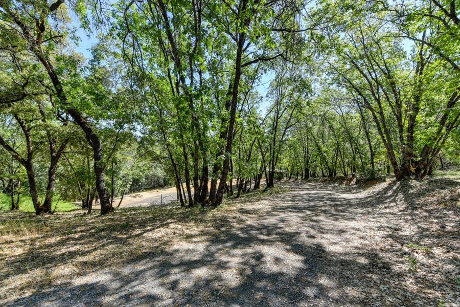 22670 Placer Hills Road Colfax, CA 95713 - Photo 8 of 33
