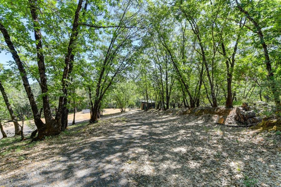 22670 Placer Hills Road Colfax, CA 95713 - Photo 9 of 33