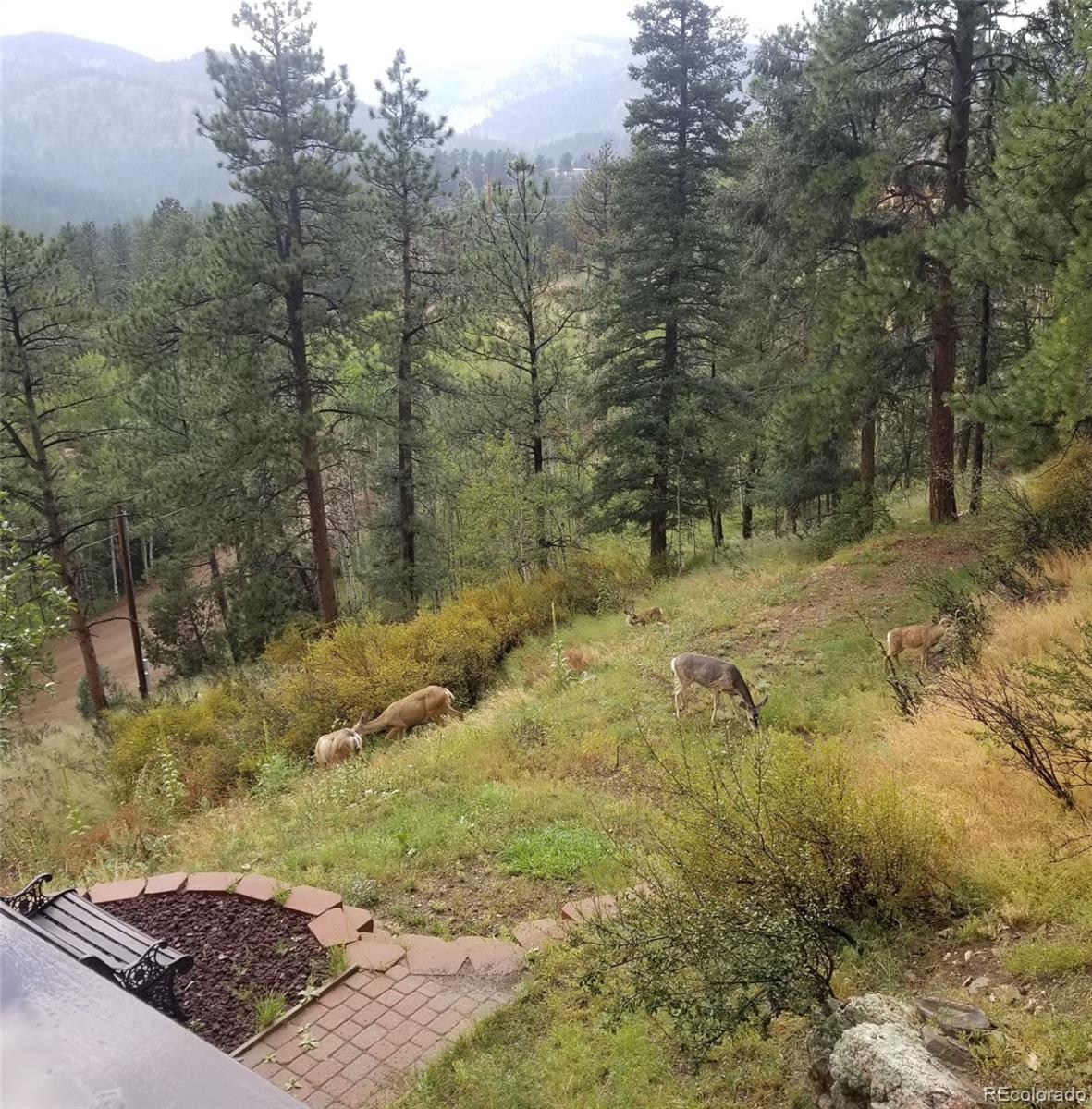 288 Spring Valley Bailey, CO 80421 - Photo 38 of 40