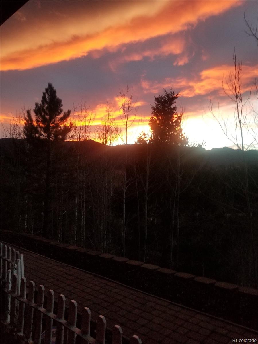 288 Spring Valley Bailey, CO 80421 - Photo 39 of 40