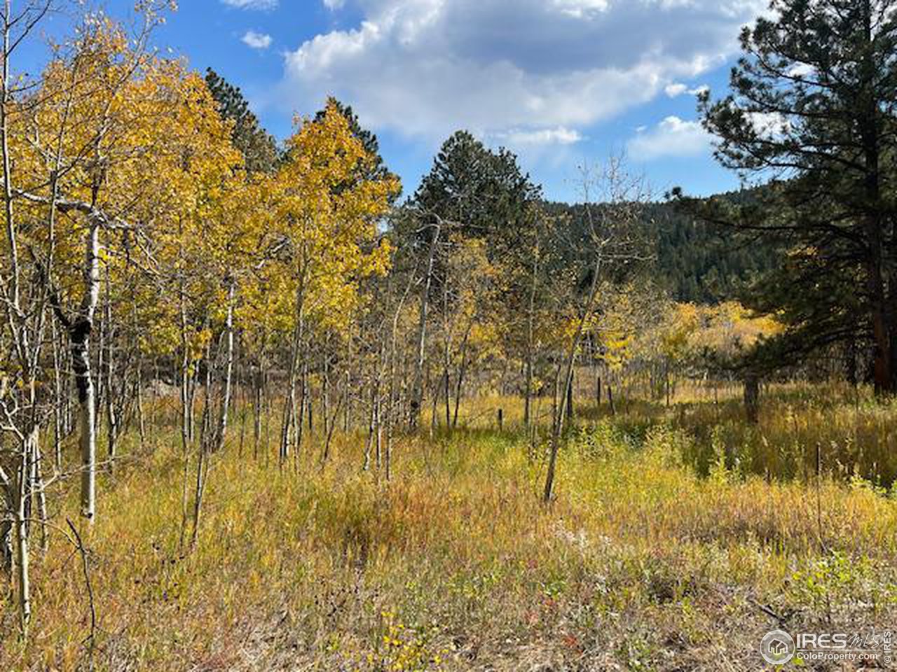 1820 Lazy Z Road Nederland, CO 80466 - Photo 23 of 27 4 sunny acres