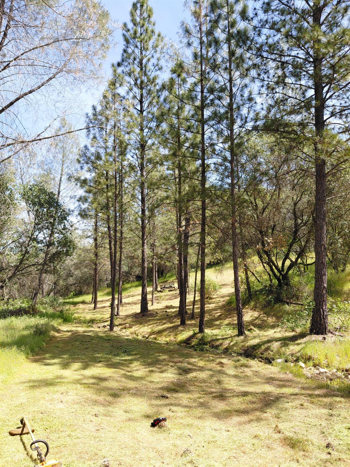 0 Swedes Flat Road Oroville, CA 95966 - Photo 22 of 23