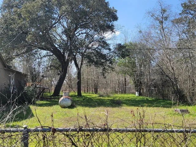 a view of a park with large trees