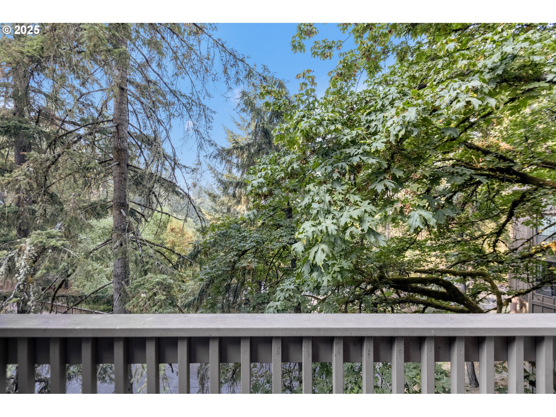 223 Trailside Loop Eugene, OR 97405 - Photo 26 of 40