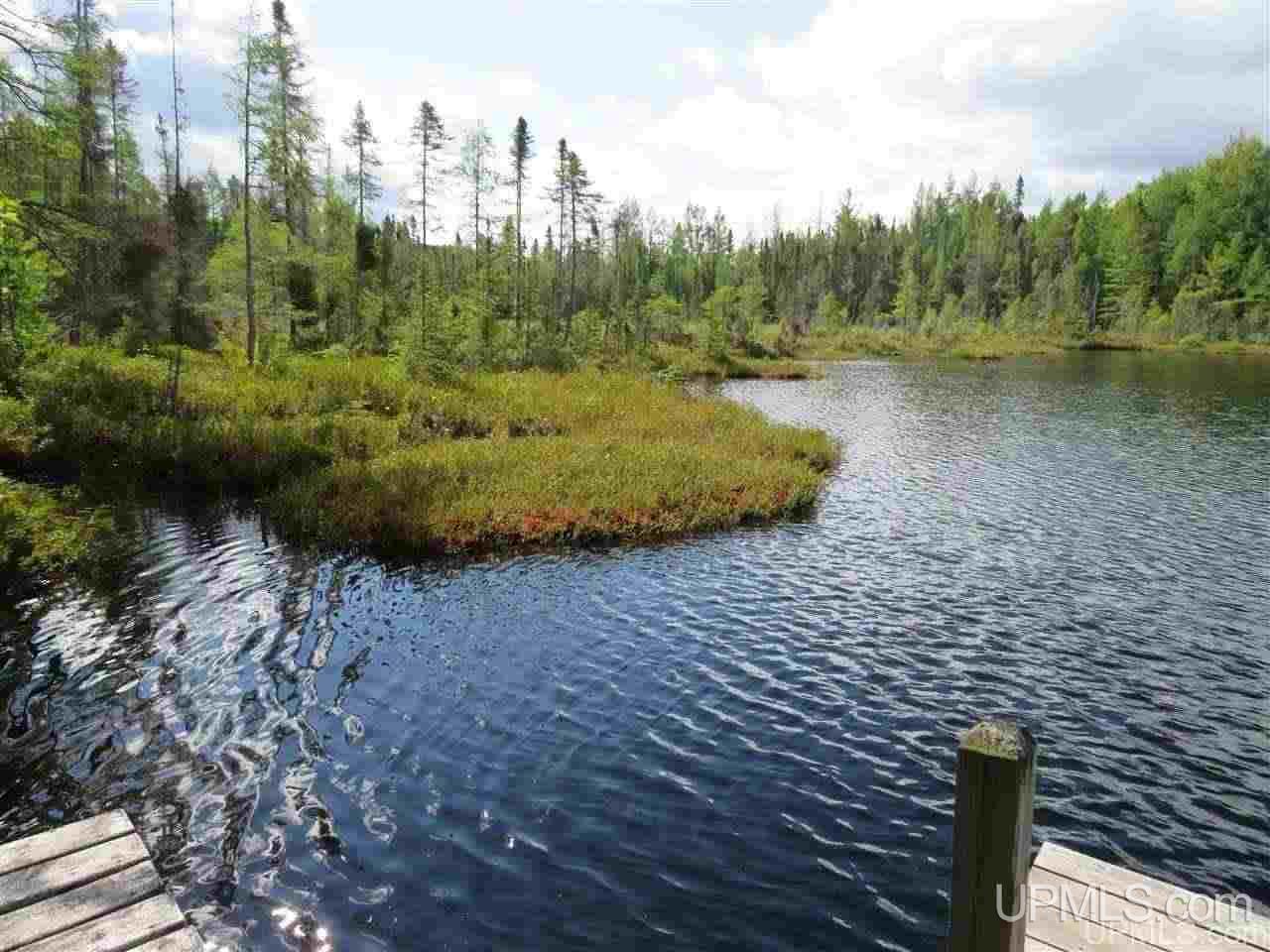 Tbd Off Lake On Three Road Trout Creek, MI 49967 - Photo 16 of 50