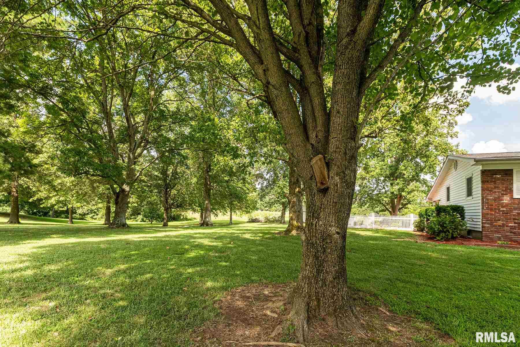 2990 Market Road Marion, IL 62959 - Photo 45 of 46 Gallery Image 45
