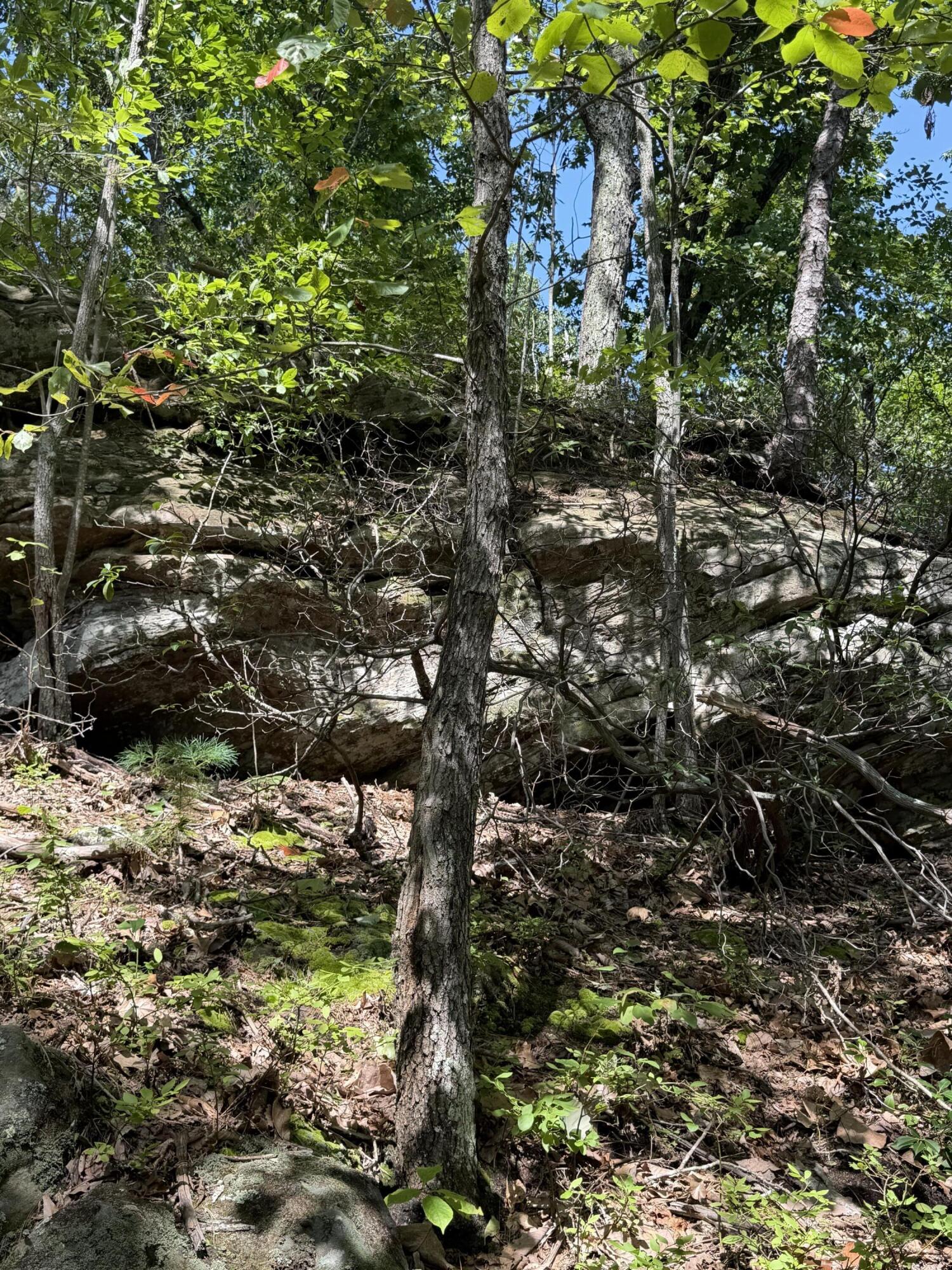 0 South Fork Road Stanton, KY 40380 - Photo 20 of 23 IMG_1114 copy