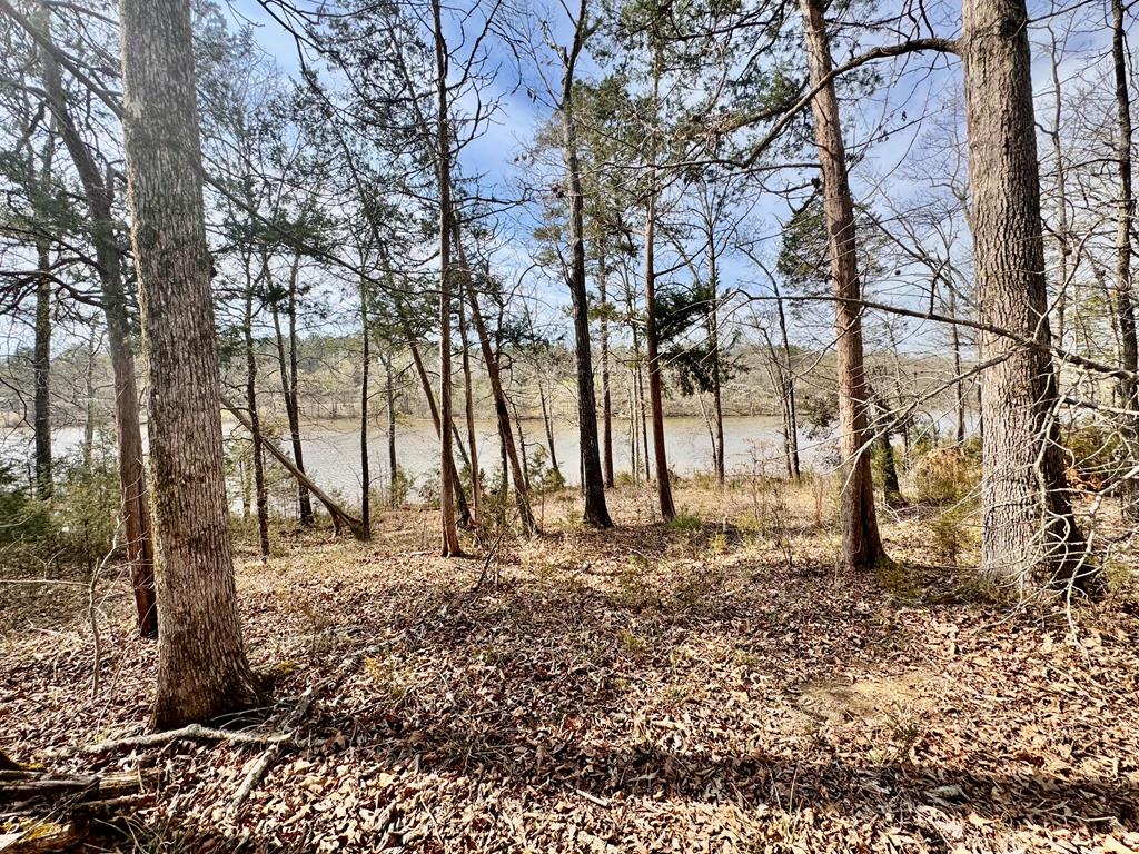 517 Terrapin Pointe Road Hodges, SC 29653 - Photo 15 of 29